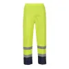 yellow-blue